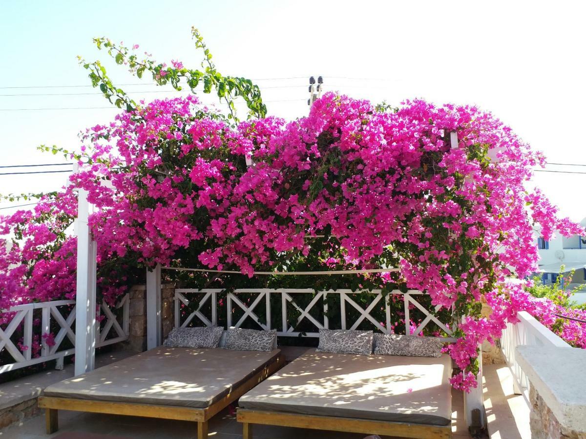Bougainvillea Suites Kamári エクステリア 写真